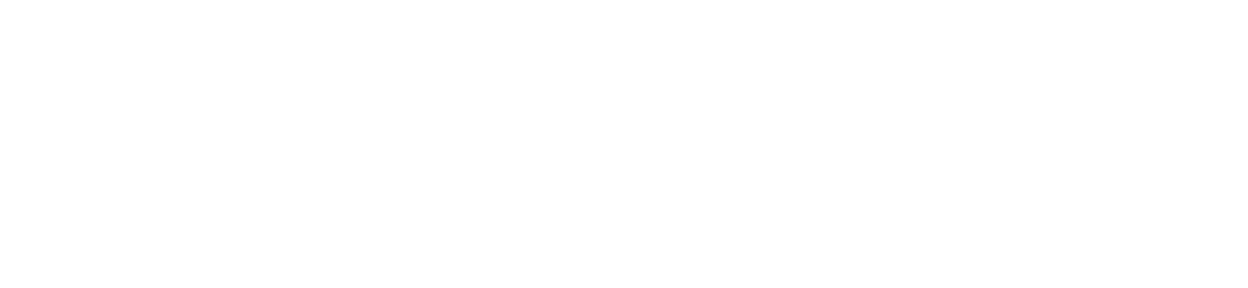 Robiul Robi